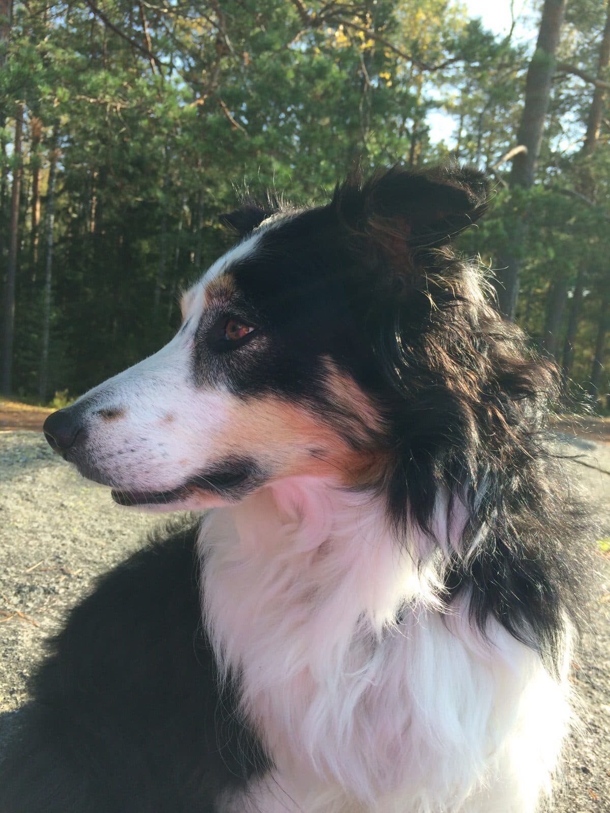 Lu