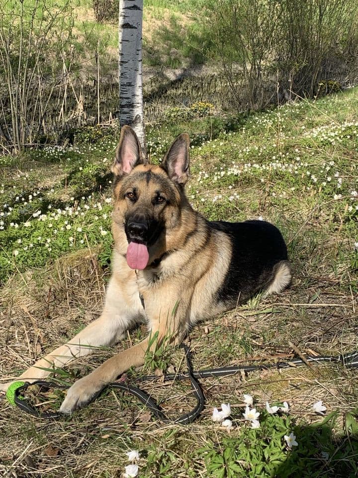Hiro